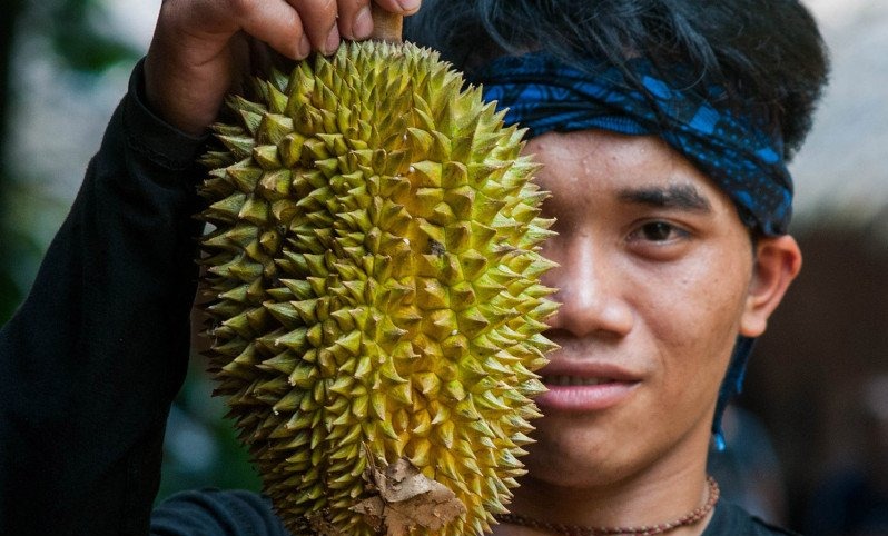 Catat! Ini Rangkaian Acara Untuk Meriahkan HUT Banten Ke-22, Festival Durian Jangan Terlewat